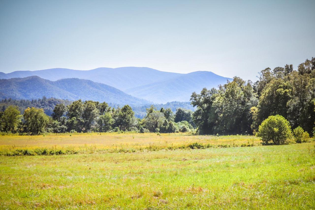 Pine Cone Ridge Villa Sevierville Dış mekan fotoğraf